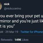 image for Wholesome pet owner