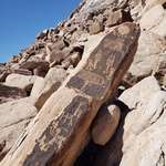 image for Found these petroglyphs while hiking in a remote section of Petrified Forest National Park