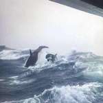 image for Orcas in the rough sea