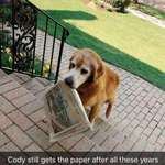 image for Cody is the bestest old boye