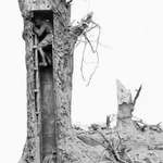 image for Fake trees were used in WW1 as observation posts.