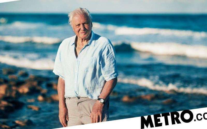 image for ‘Attenborough effect’ leads to 53% drop in single use plastic in 12 months