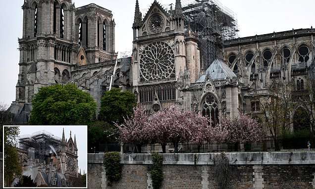 image for Firefighters 'could not find fire' at Notre Dame 23 minutes before blaze