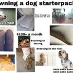 image for Owning a dog starterpack