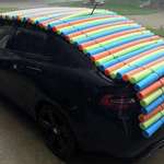 image for Resident in North Texas Pool Noodle Hail Protection
