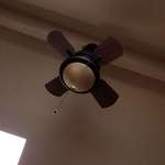 image for I don't know if it's just because I'm high but I cannot stop laughing at this tiny ceiling fan.