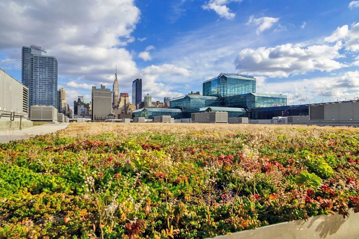 image for New York City Passes Law Requiring Green Roofs on New Buildings