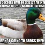 image for Don’t ever worry about grossing out your doctor, tell them anything