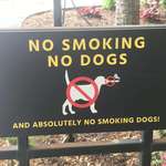 image for This sign prohibits smoking dogs from entering a bar’s outdoor seating area.