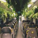 image for Green train in Lower Silesia, Poland