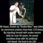 image for Bill Haast, “The Snake Man”