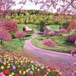 image for Spring time in Vermont