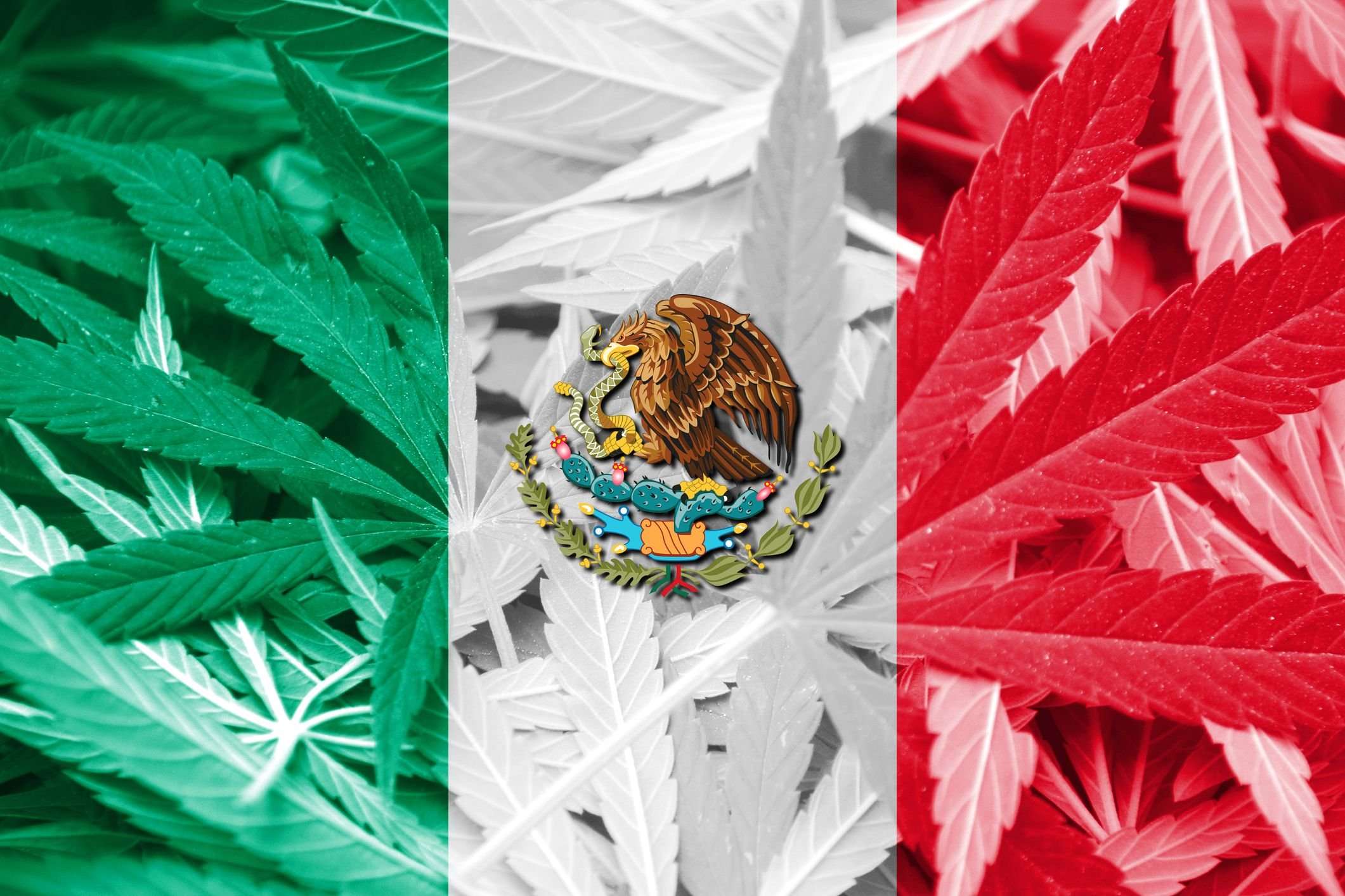 image for Mexico Aims to Legalize Recreational Marijuana Before October