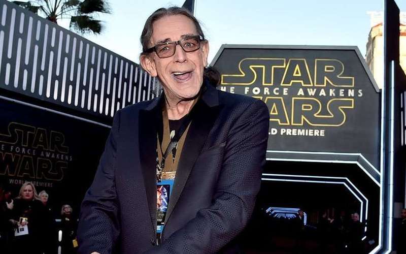 image for Rest in peace Peter Mayhew: 1944