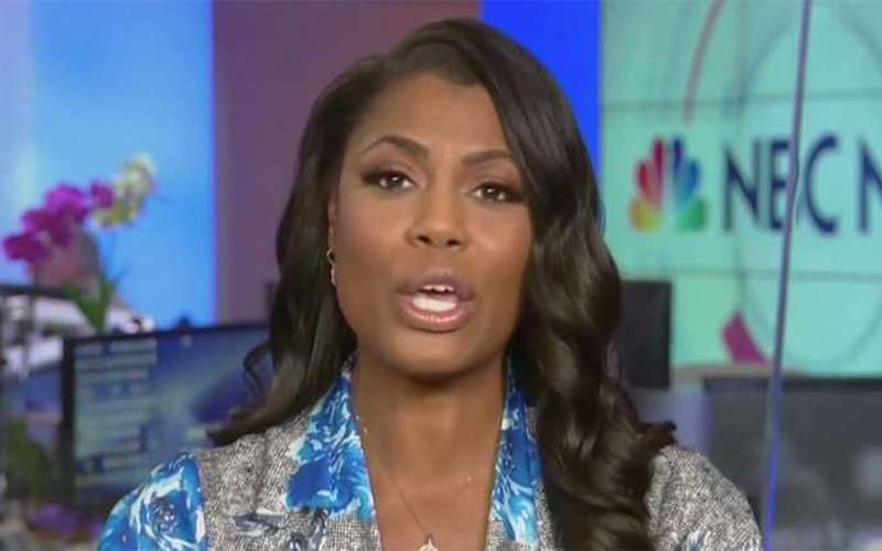image for Omarosa claims White House destroyed 5 boxes of documents — that should have been turned over to Mueller