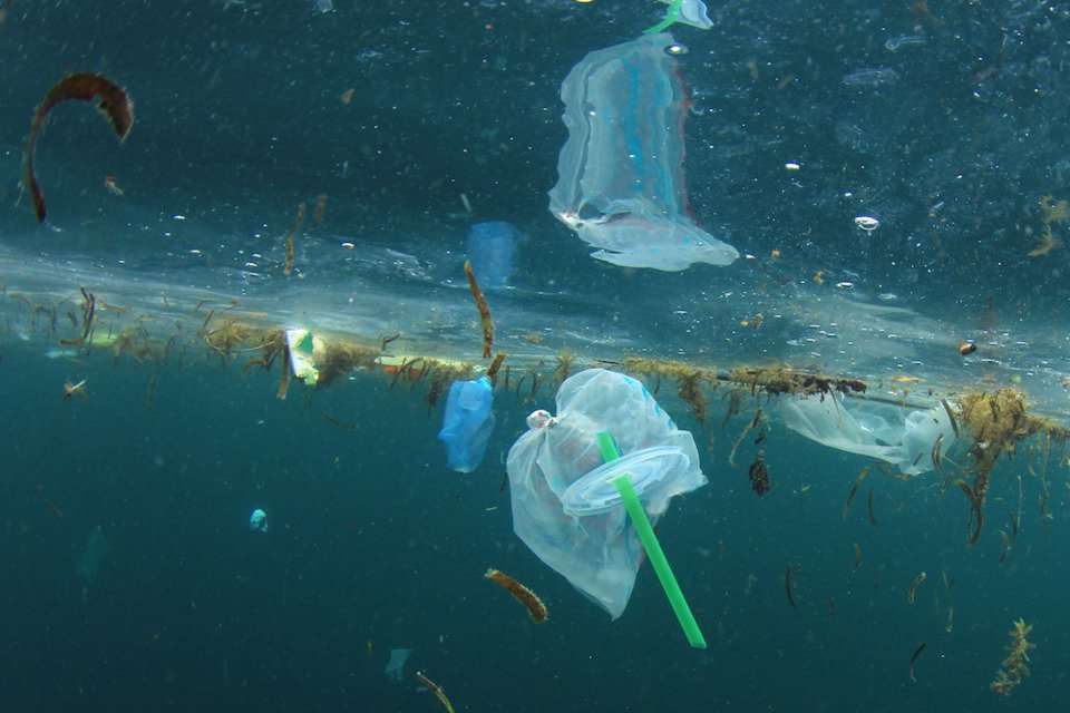 image for Florida will ban cities from banning plastic straws
