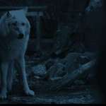 image for Before you scroll past give Ghost all pets cuz Jon didn’t.