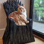 image for I made my 17 year old King Arthur a cardboard iron throne.