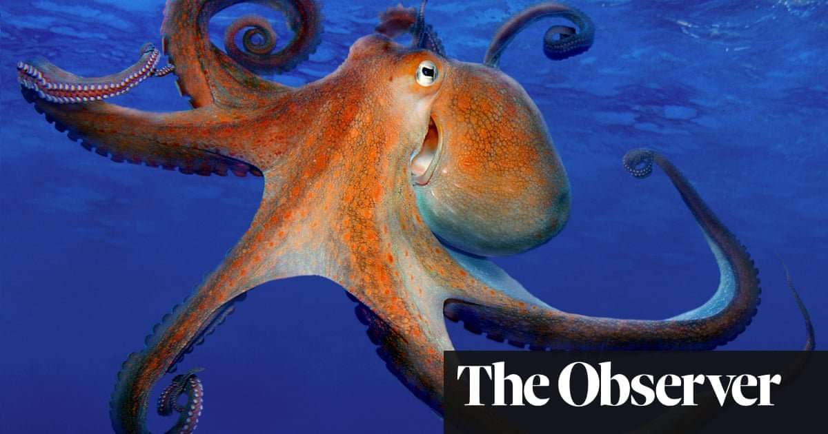 image for Octopus farming is ‘unethical and a threat to the food chain’