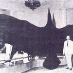 image for Argentavis magnificens: the largest known bird ever to have existed
