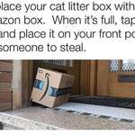 image for [SLPT] litter box tips