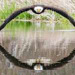 image for Photographer Steve Biro was lucky enough to capture a remarkable symmetrical reflection of this beautiful Bald Eagle at the Canadian Raptor Conservancy