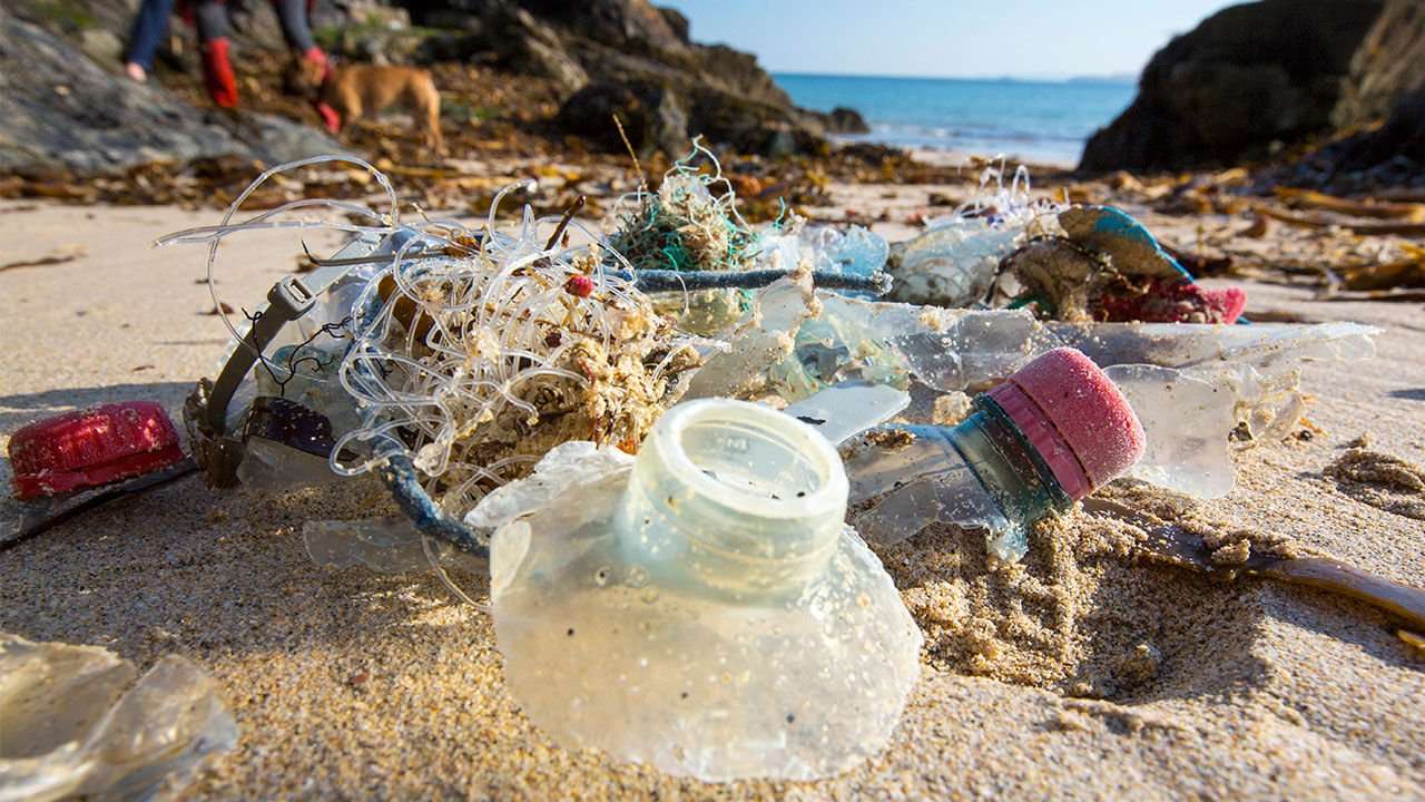 image for These tiny microbes are munching away at plastic waste in the ocean