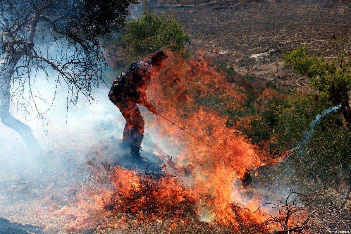 image for Video shows Israel settlers started West Bank fires, contradicting army statement