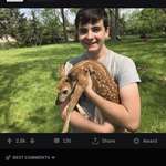 image for Teenager finds an “abandoned” baby deer