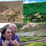 image for This couple planted 2 million trees to regrow a forest in 20 year. [Image]