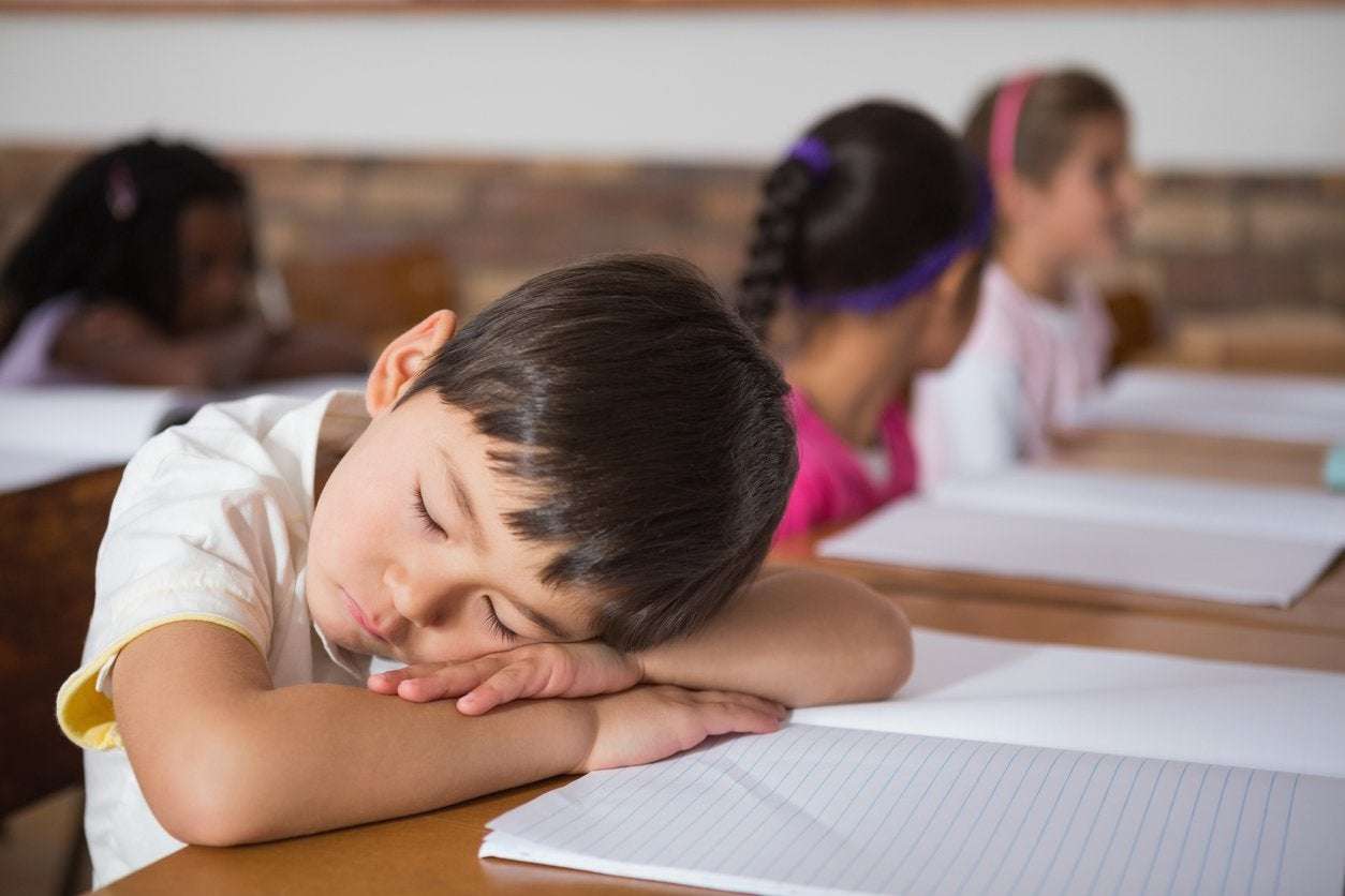 image for Children who nap midday are happier, excel academically, and have fewer behavioral problems