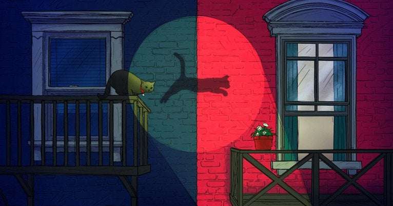 image for Physicists can predict the jumps of Schrödinger’s cat (and finally save it)