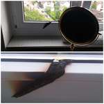 image for My mom accidentally left her mirror in front of the window over the day. After coming back she found this...