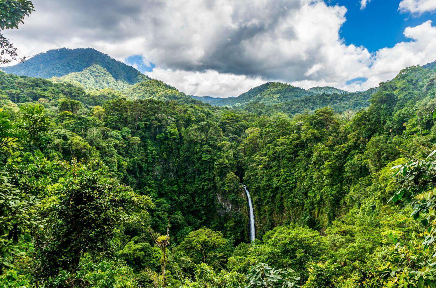image for Costa Rica Doubled Its Forest Cover In Just 30 Years!