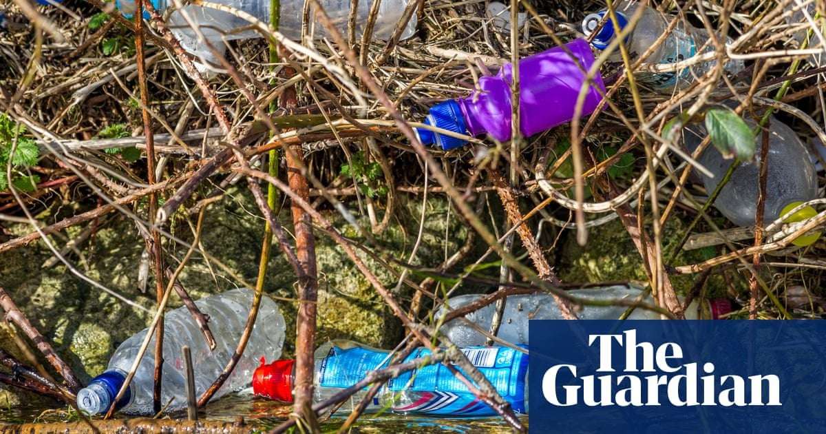 image for People eat at least 50,000 plastic particles a year, study finds