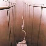 image for The view of the Tacoma Narrows Bridge collapse from atop the suspension cabling, 1940