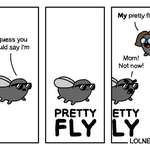 image for Pretty Fly