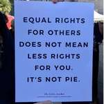 image for It's Not Pie