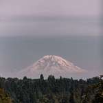 image for Mt. Rainer seen from University of Washington in Seattle, Washington [OC] [3456x4320]