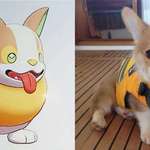 image for Yamper is just a corgi with a life jacket