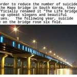 image for ..at reducing suicide rates..