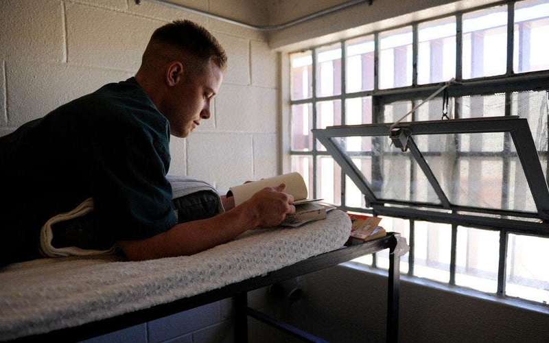 image for Prisons Are Banning Books That Teach Prisoners How to Code
