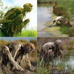 image for Swamp creatures in a French nature reserve by Sculptor Sophie Prestigiacomo.