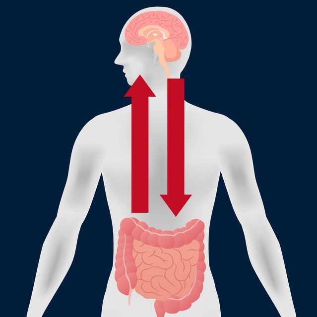 image for Parkinson's Disease-Causing Protein Hijacks Gut-Brain Axis