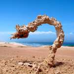 image for When lightning strikes sand it creates a fulgurite, a structure formed due to the super heating of sand into glass.
