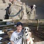 image for Puppy found in combat- before and after.