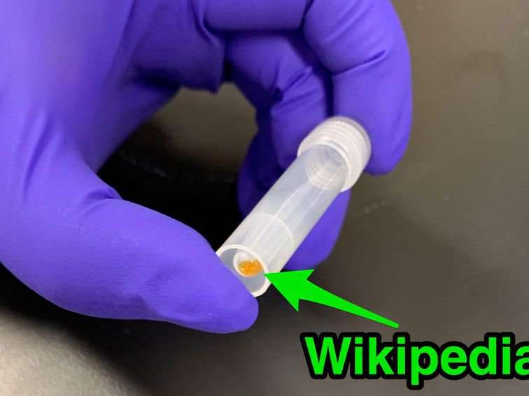 image for Startup packs all 16GB of Wikipedia onto DNA strands to demonstrate new storage tech