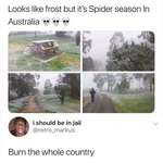 image for 🔥 Spider season in Australia