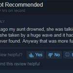 image for Found this review on steam