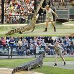 image for Robert Irwin feeding the same croc, in the same place as his father, Steve Irwin, 15 years later.